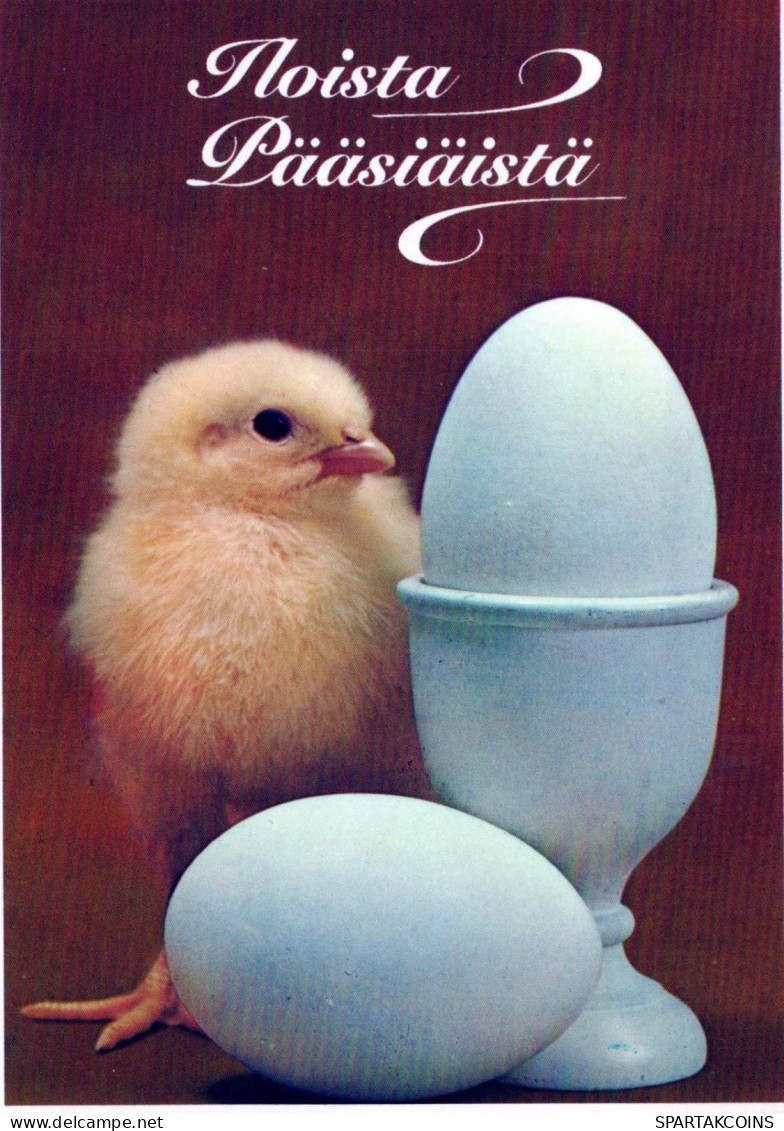 OSTERN HUHN EI Vintage Ansichtskarte Postkarte CPSM #PBP043.DE - Pascua