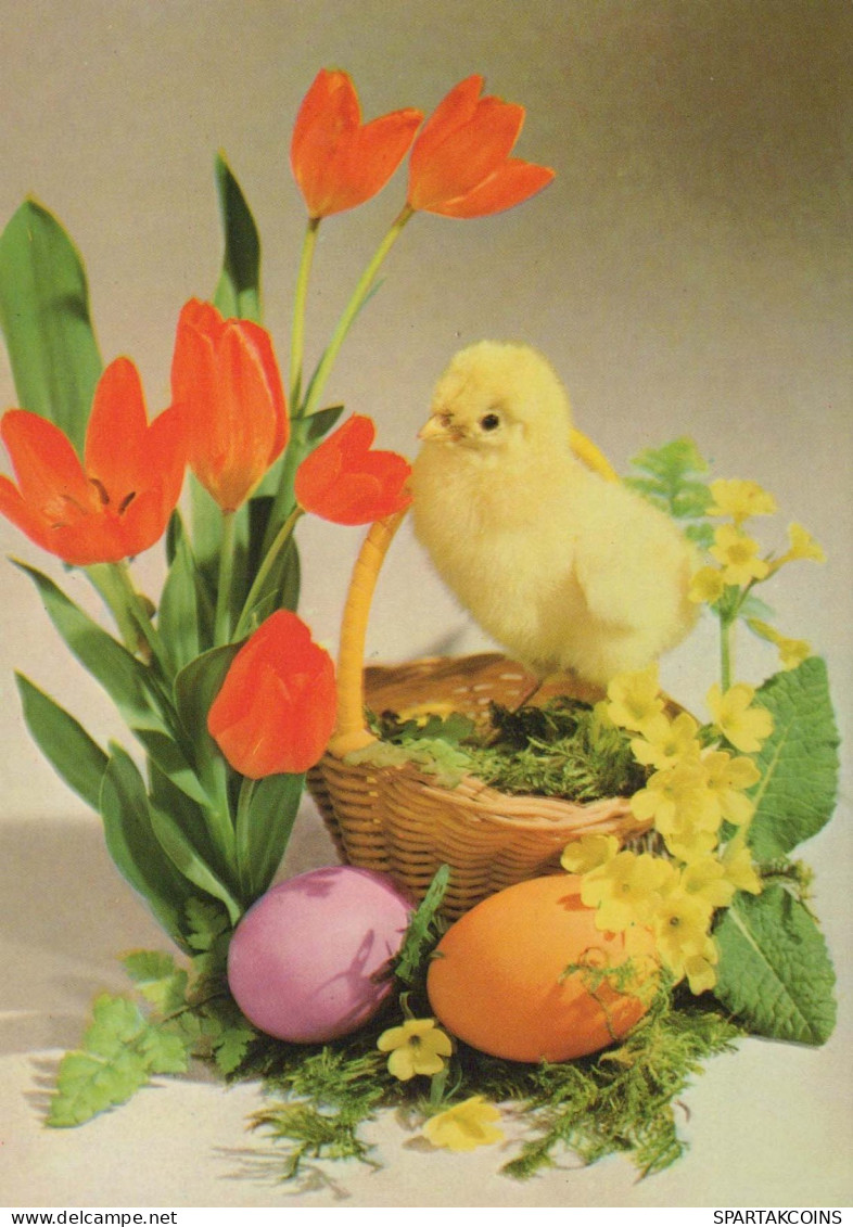 OSTERN HUHN EI Vintage Ansichtskarte Postkarte CPSM #PBP165.DE - Pasqua