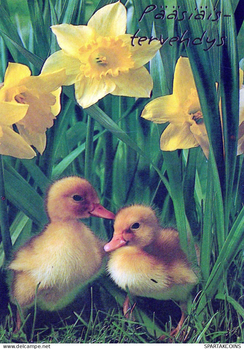 OSTERN EI Vintage Ansichtskarte Postkarte CPSM #PBO219.DE - Pâques