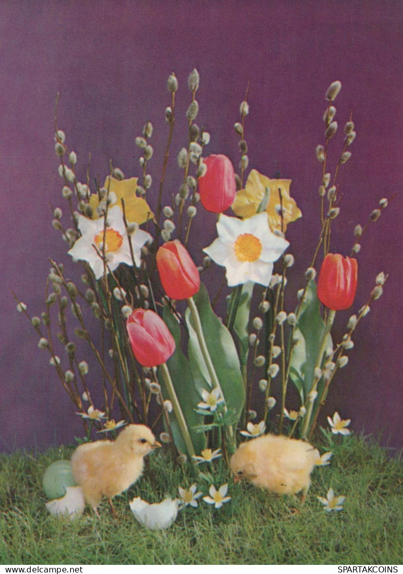 OSTERN HUHN EI Vintage Ansichtskarte Postkarte CPSM #PBO725.DE - Pascua