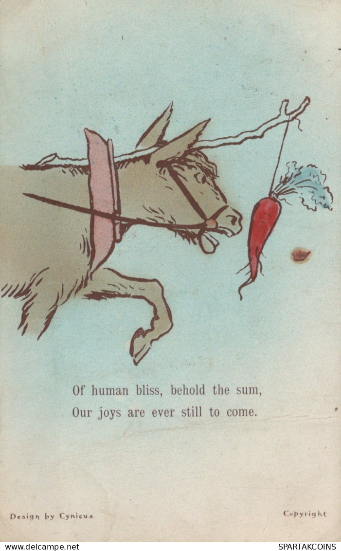 ASINO Animale Vintage CPA Cartolina #PAA153.IT - Donkeys