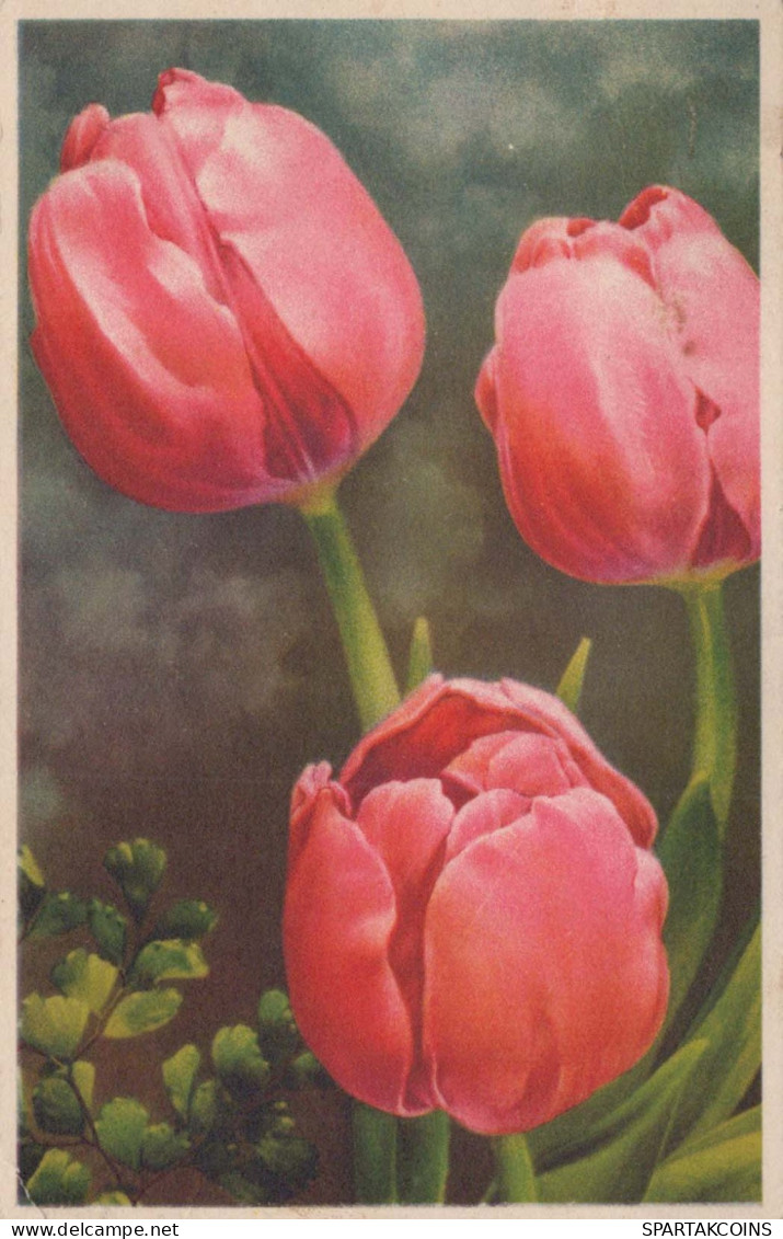 FIORI Vintage Cartolina CPA #PKE734.IT - Fleurs