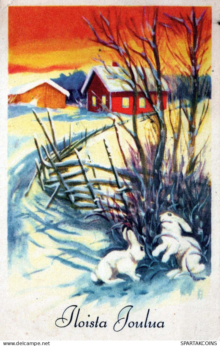 Buon Anno Natale CONIGLIO Vintage Cartolina CPSMPF #PKD349.IT - Neujahr