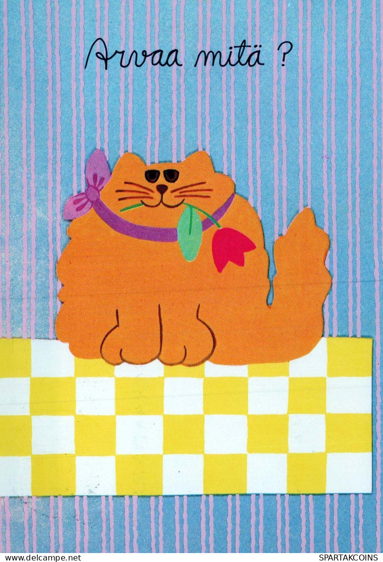 GATTO KITTY Animale Vintage Cartolina CPSM #PBR025.IT - Katzen