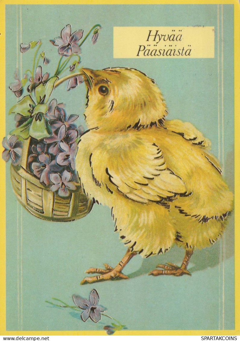 PASQUA POLLO UOVO Vintage Cartolina CPSM #PBP166.IT - Easter