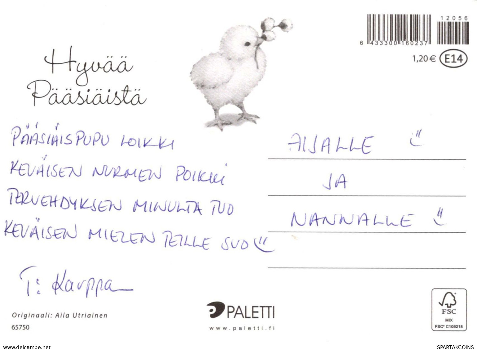 PASQUA POLLO Vintage Cartolina CPSM #PBO976.IT - Pâques