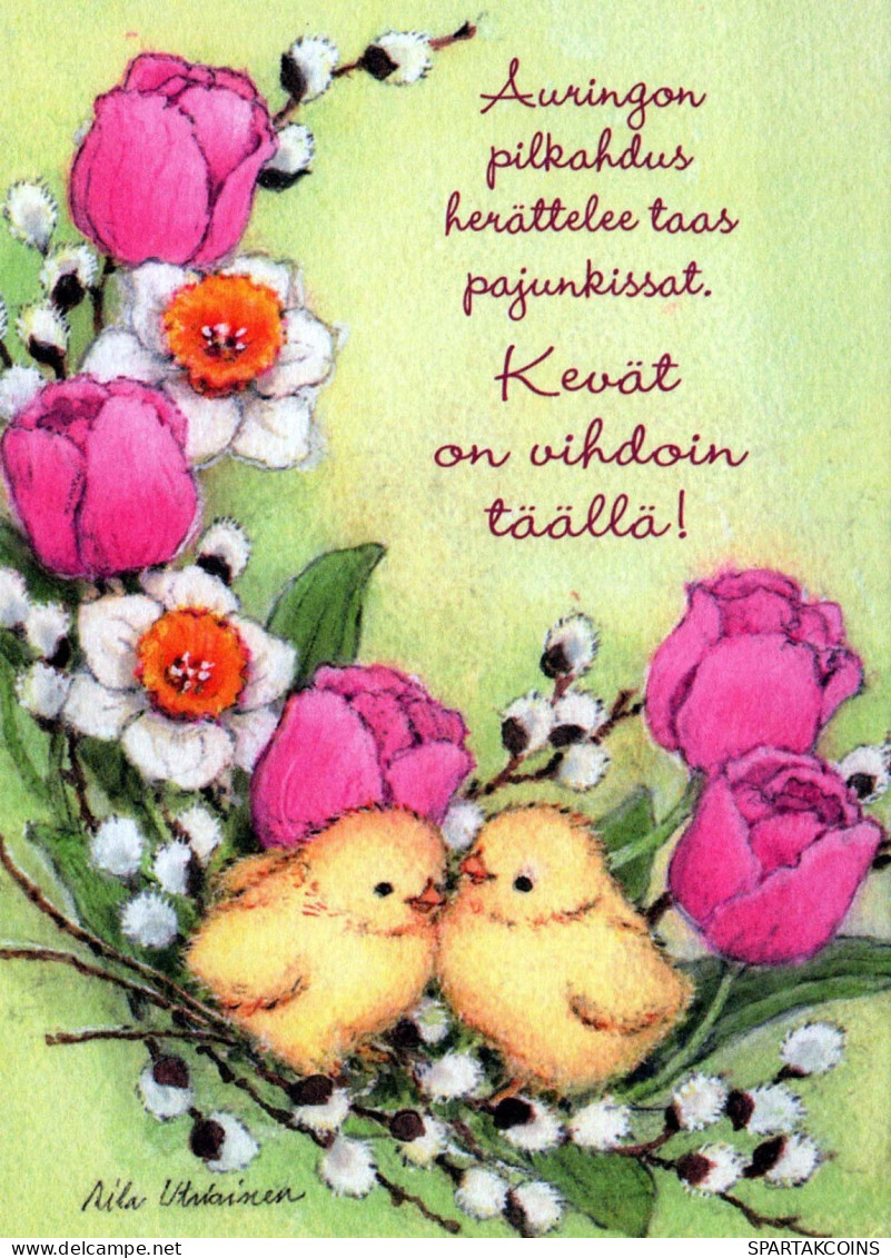 PASQUA POLLO Vintage Cartolina CPSM #PBO976.IT - Easter