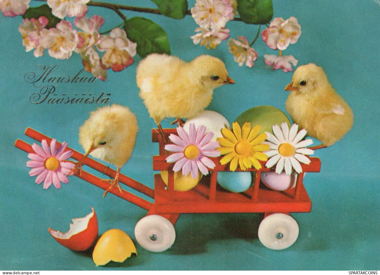 PASQUA POLLO UOVO Vintage Cartolina CPSM #PBO914.IT - Easter