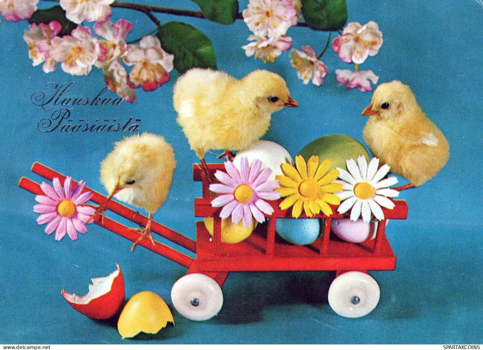 PASQUA POLLO UOVO Vintage Cartolina CPSM #PBO914.IT - Ostern