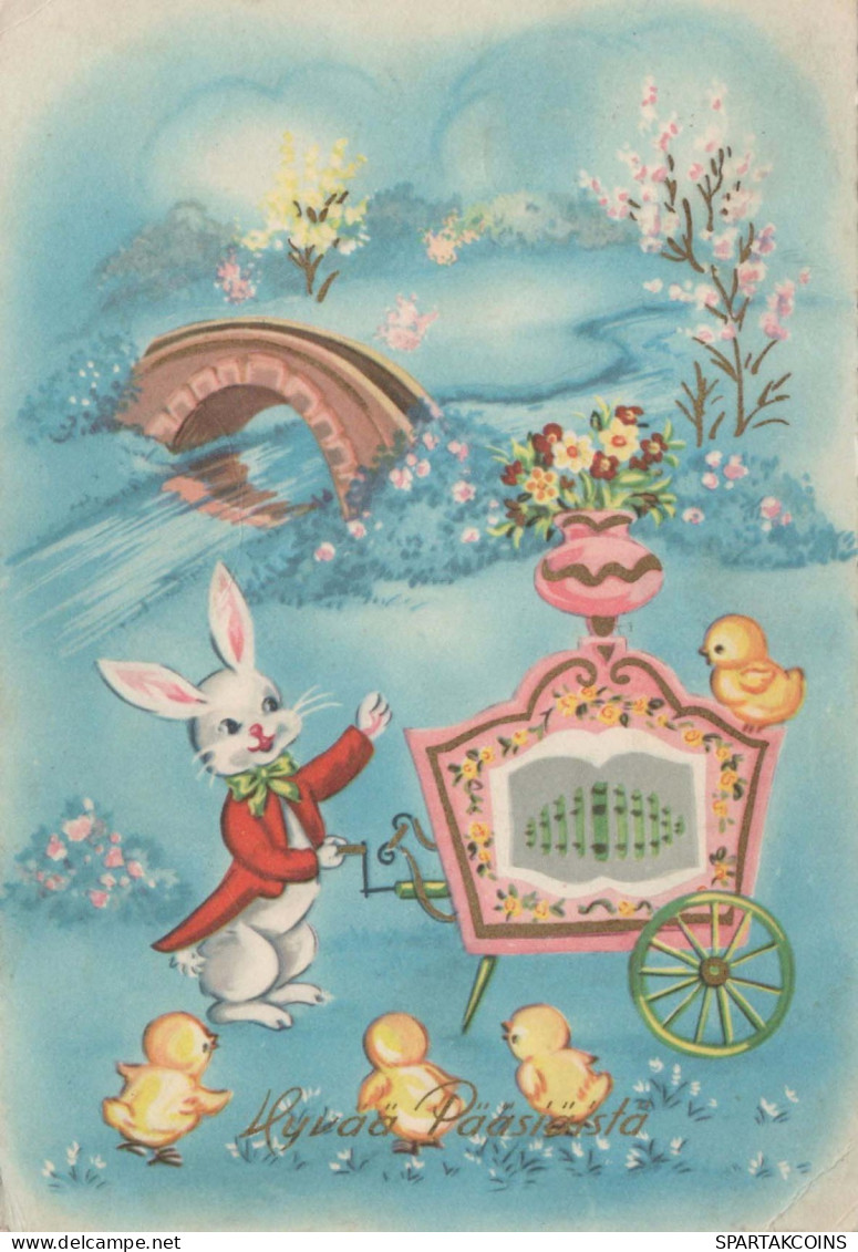 PASQUA CONIGLIO Vintage Cartolina CPSM #PBO475.IT - Easter