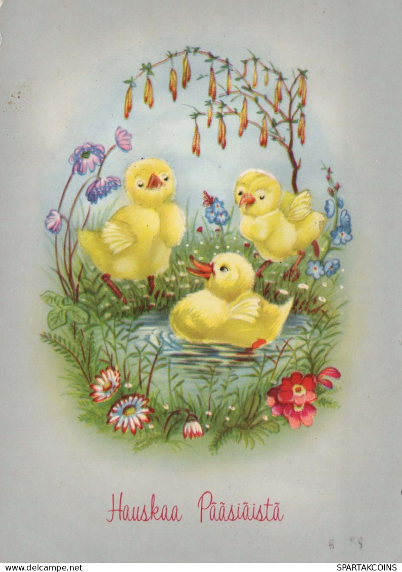 PASQUA POLLO UOVO Vintage Cartolina CPSM #PBO602.IT - Ostern