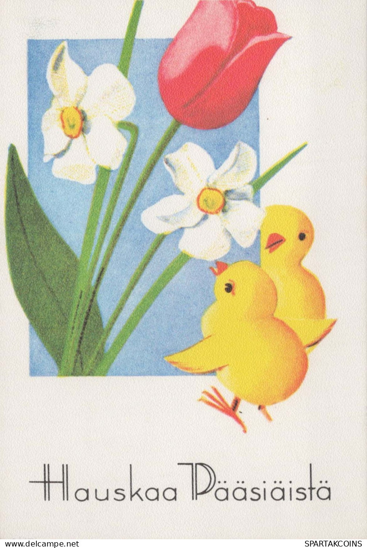 PASQUA POLLO UOVO Vintage Cartolina CPSM #PBO665.IT - Easter