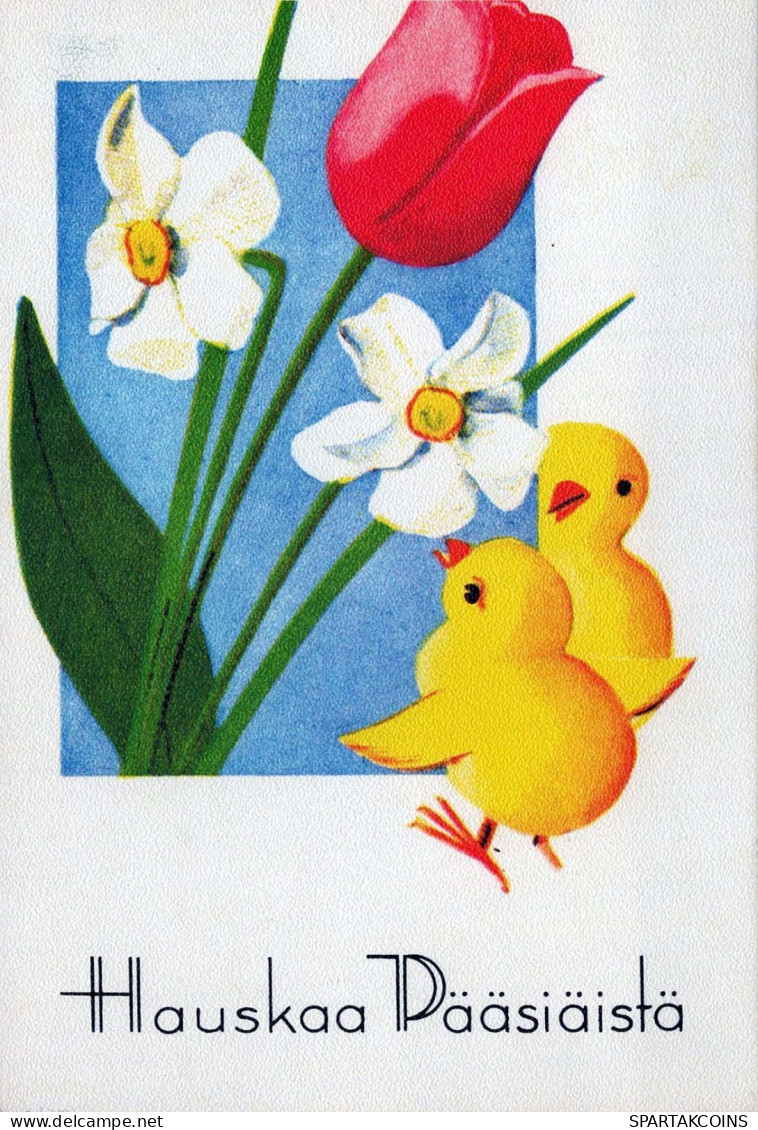 PASQUA POLLO UOVO Vintage Cartolina CPSM #PBO665.IT - Ostern