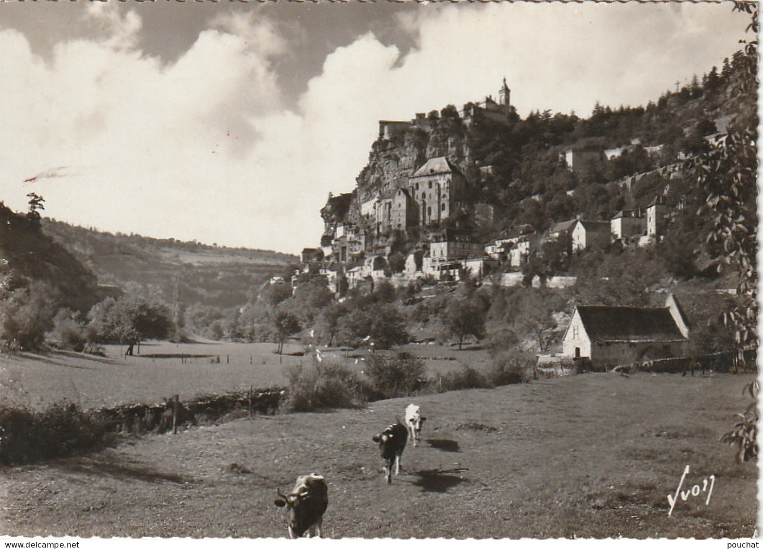 EP 14 -(46) ROCAMADOUR  -   VUE GENERALE -  VACHES AU PRE  -  2 SCANS - Rocamadour