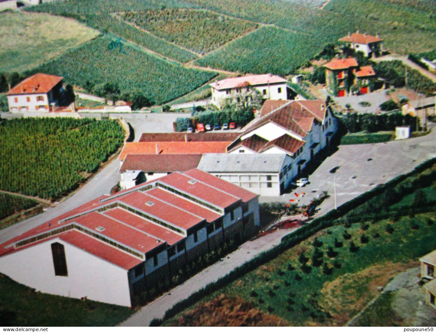 CP 69 Rhône BEAUJEU -  Oenologie Cave Coopérative Beaujolaise QUINCIE En BEAUJOLAIS Vignoble Vignes 1970 - Beaujeu