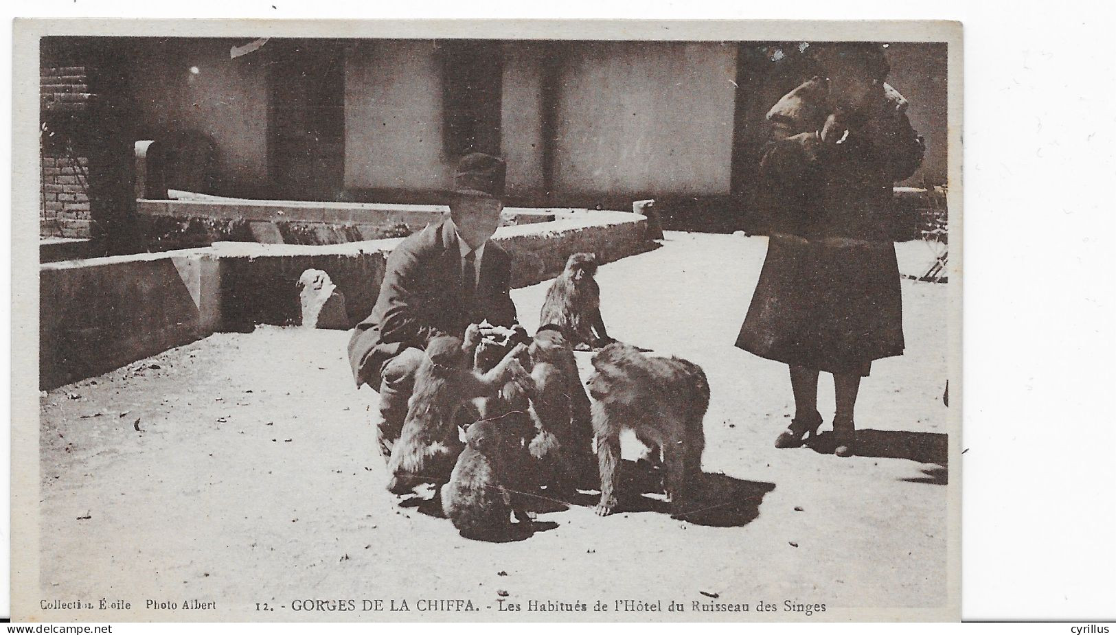 ALGERIE - GORGES DE LA CHIFFA - Hôtel Du Ruisseau Des Singes - Blida