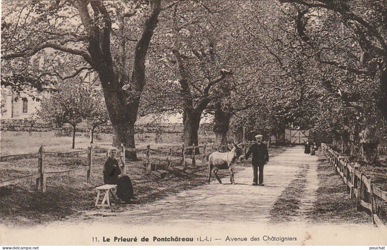 EP 6  -(44) LE PRIEURE DE PONTCHATEAU  -  AVENUE DES CHATAIGNIERS   -  COUPLE AVEC  ANE - 2 SCANS - Autres & Non Classés