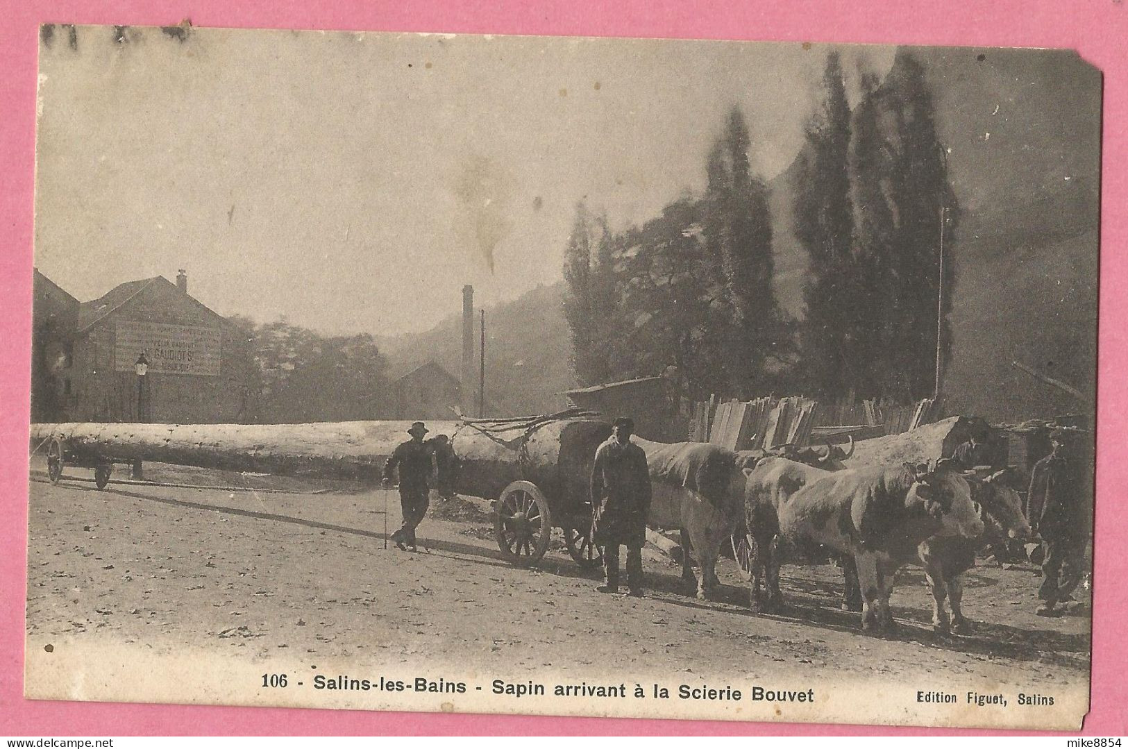 A207  CPA  SALINS-les-BAINS  (Jura)  Sapin Arrivant à La Scierie Bouvet - Attelage Boeufs  ++++++ - Andere & Zonder Classificatie