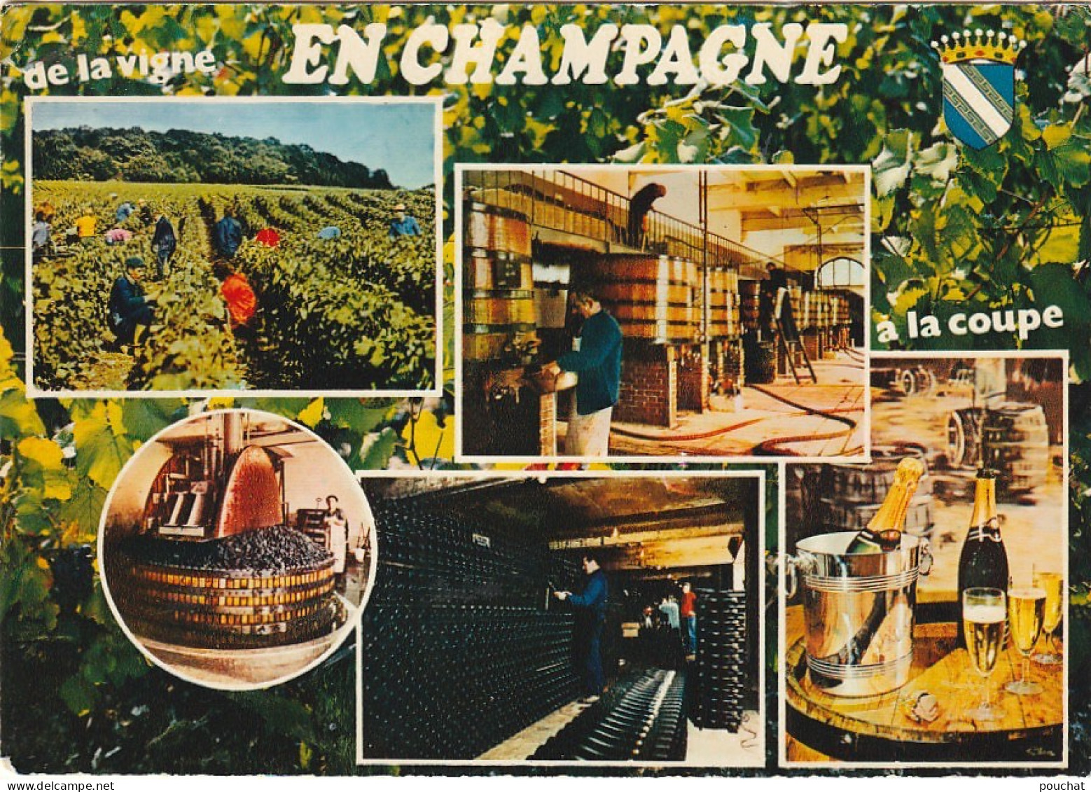 EP 25 -(51) EN CHAMPAGNE - DE LA VIGNE A LA COUPE - CARTE COULEURS MULTIVUES   -  2 SCANS - Wijnbouw