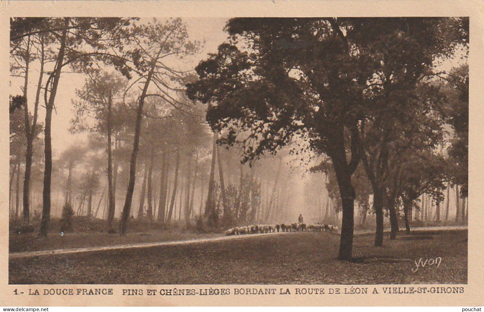 FI 6 - CARTE PUBLICITAIRE  LABORATOIRE BADEL , VALENCE S/ RHONE - ROUTE DE LEON A VIELLE ST GIRONS (40) BERGER , MOUTONS - Pubblicitari