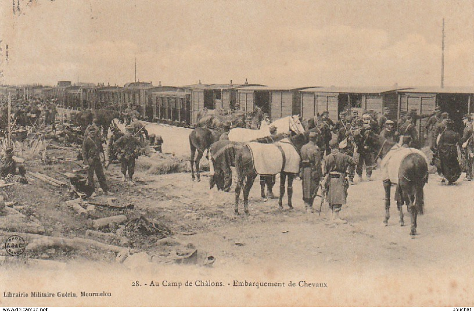 EP 23 -(51) AU CAMP DE CHALONS  - EMBARQUEMENT DE CHEVAUX   - TRAIN - MILITAIRES  - 2 SCANS - Camp De Châlons - Mourmelon