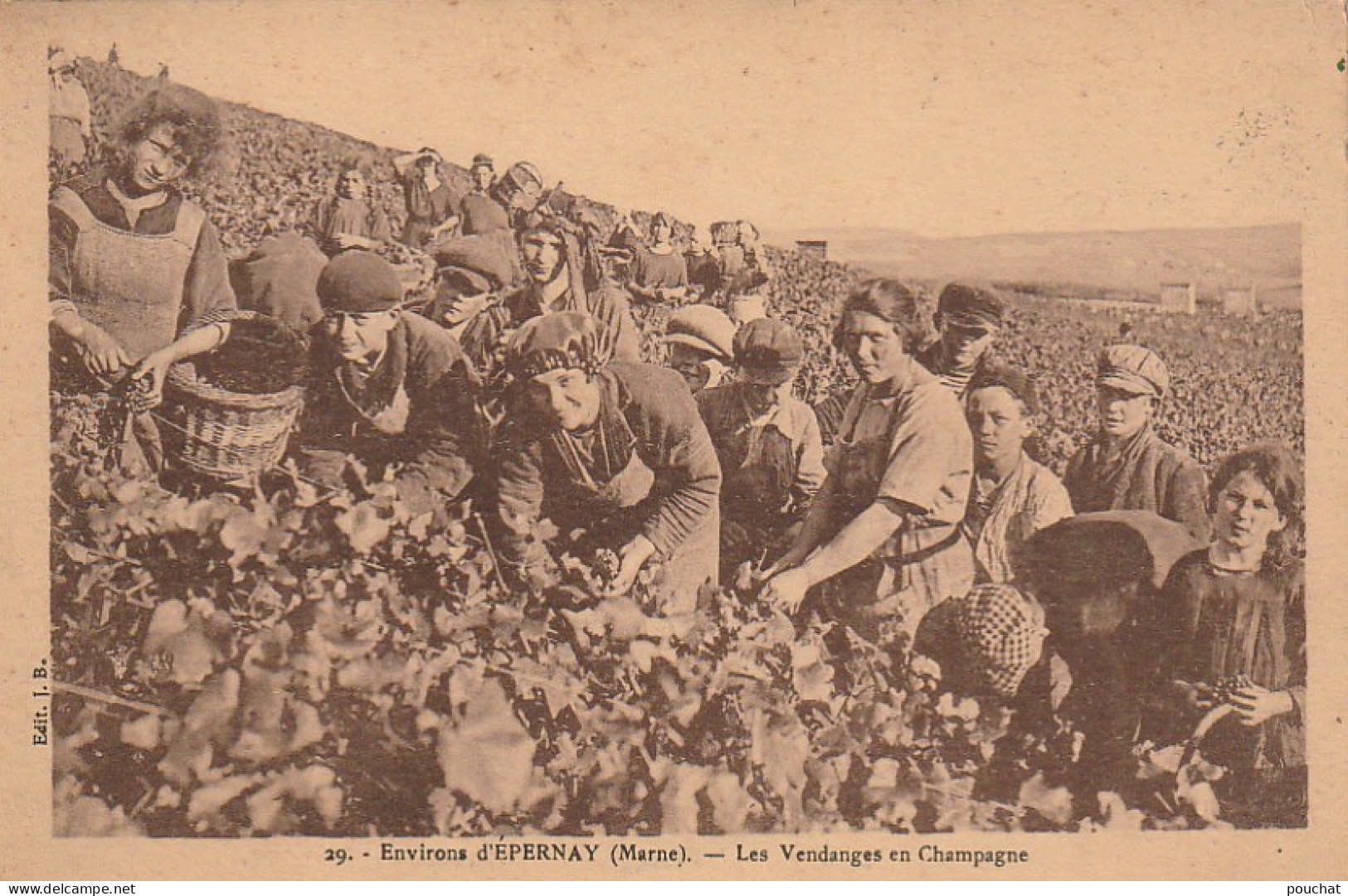 EP 23 -(51) ENVIRONS D'EPERNAY  -  LES VENDANGES EN CHAMPAGNE  - VENDANGEURS  - 2 SCANS - Autres & Non Classés