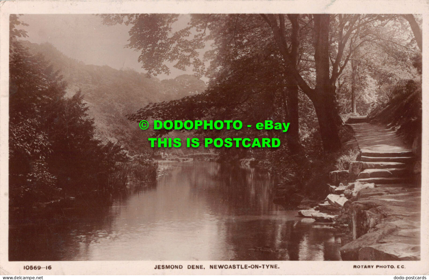 R539558 10569 16. Jesmond Dene. Newcastle On Tyne. Rotary Photo. W. H. S. And S. - Wereld