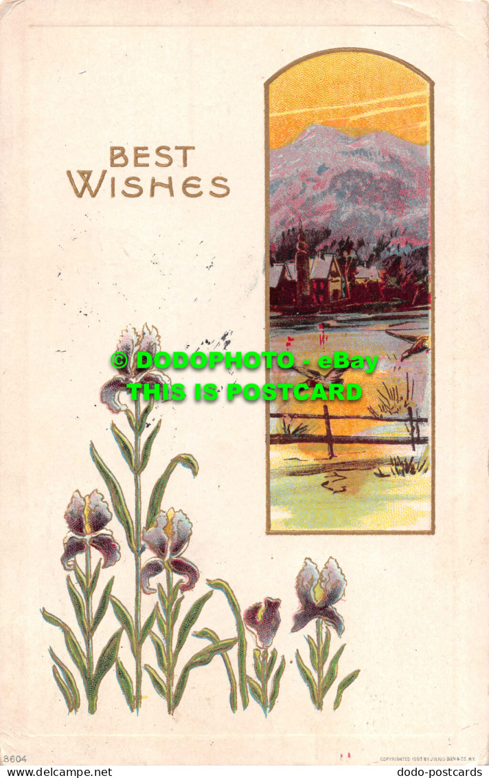 R538400 Best Wishes. Birthday Series Number 860. 1909 - World