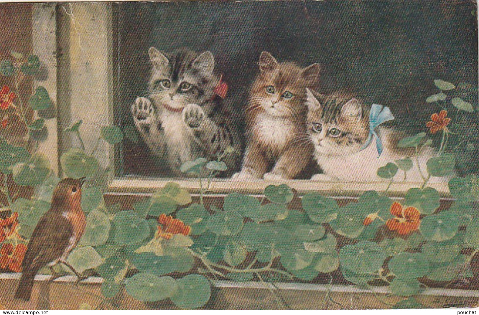 FI 9 - TRIO DE CHATONS A LA FENETRE AVEC ROUGE GORGE ET CAPUCINES  - ILLUSTRATEUR COBBS -  2 SCANS - Autres & Non Classés