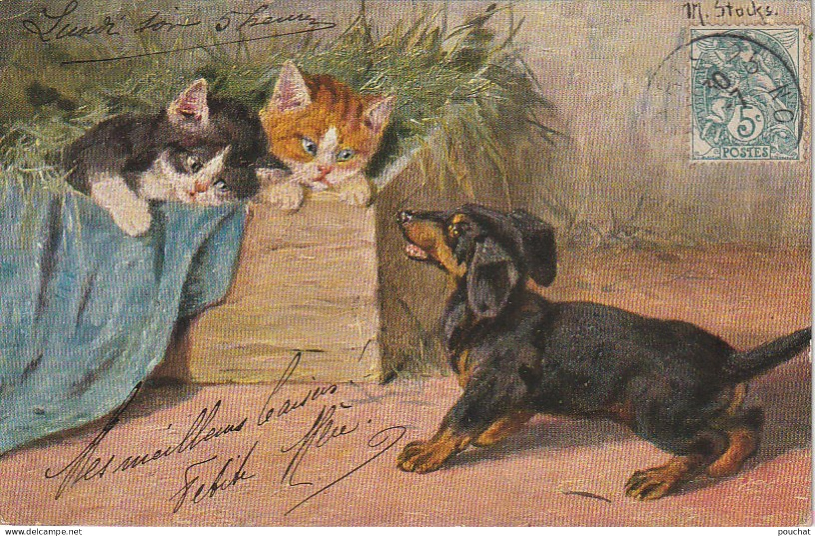 FI 9 - CHATONS DANS CAISSE NARGUANT UN CHIOT ( TECKEL ) - ILLUSTRATEUR STOCKS - 2 SCANS - Sonstige & Ohne Zuordnung