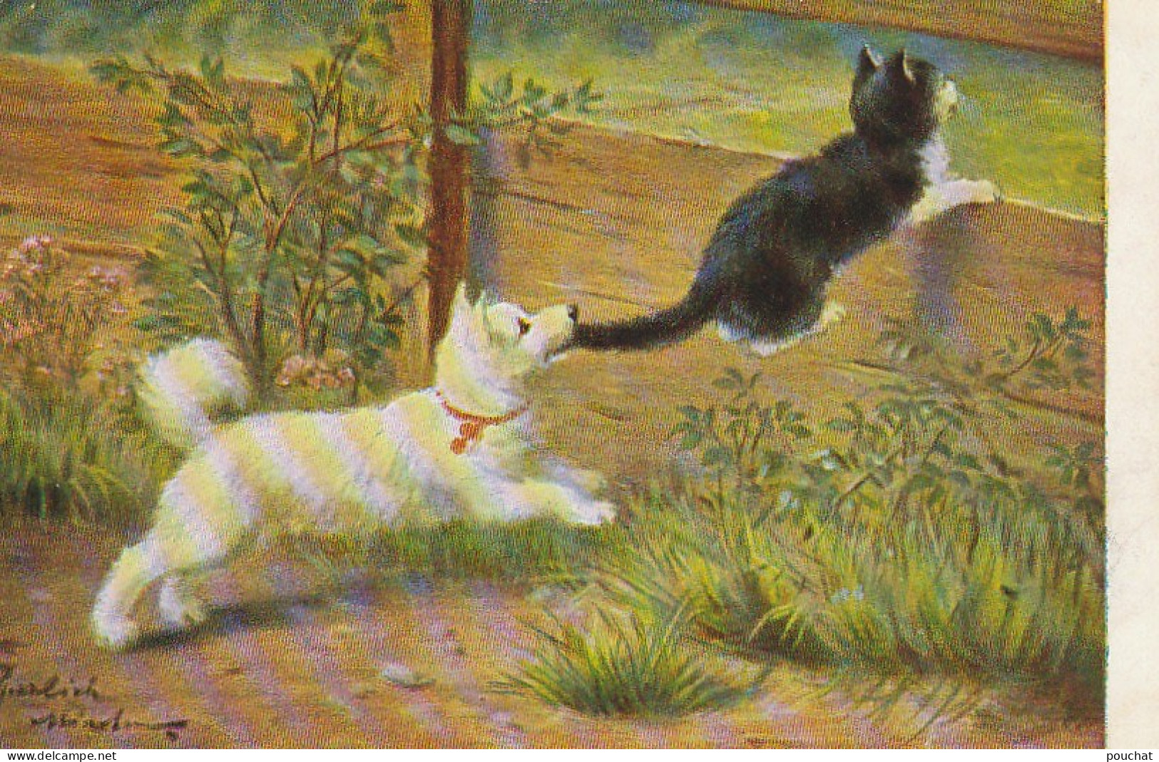 FI 9 - CHATON FUYANT UN CHIEN ( BERGER ) LE MORDANT A LA QUEUE - ILLUSTRATEUR SPERLICH- 2 SCANS - Autres & Non Classés