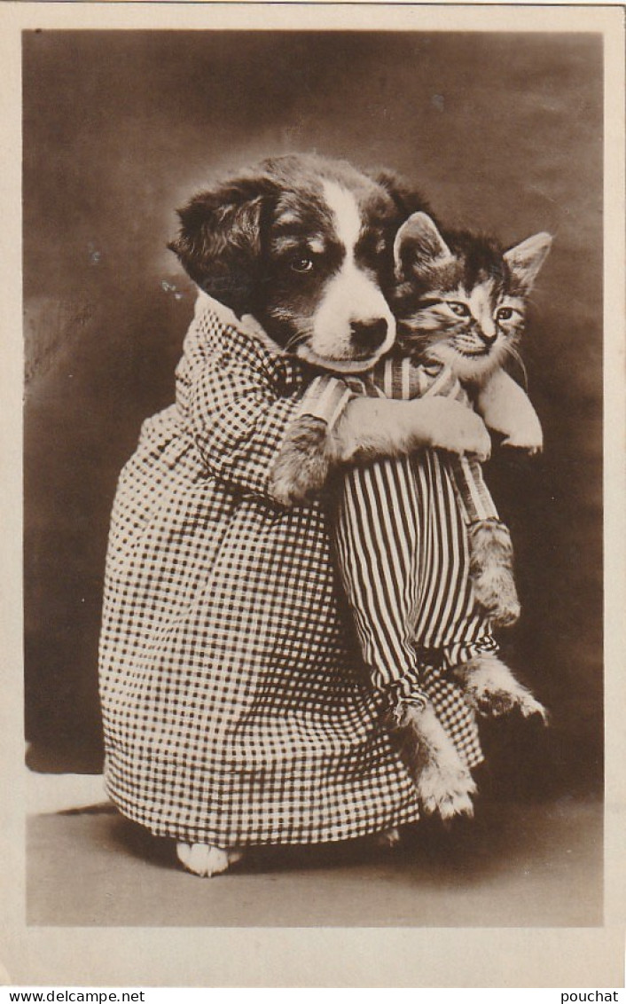 FI 10 - CHIENNE HUMANISEE SERRANT UN CHATON SUR SON COEUR -  2 SCANS - Dogs