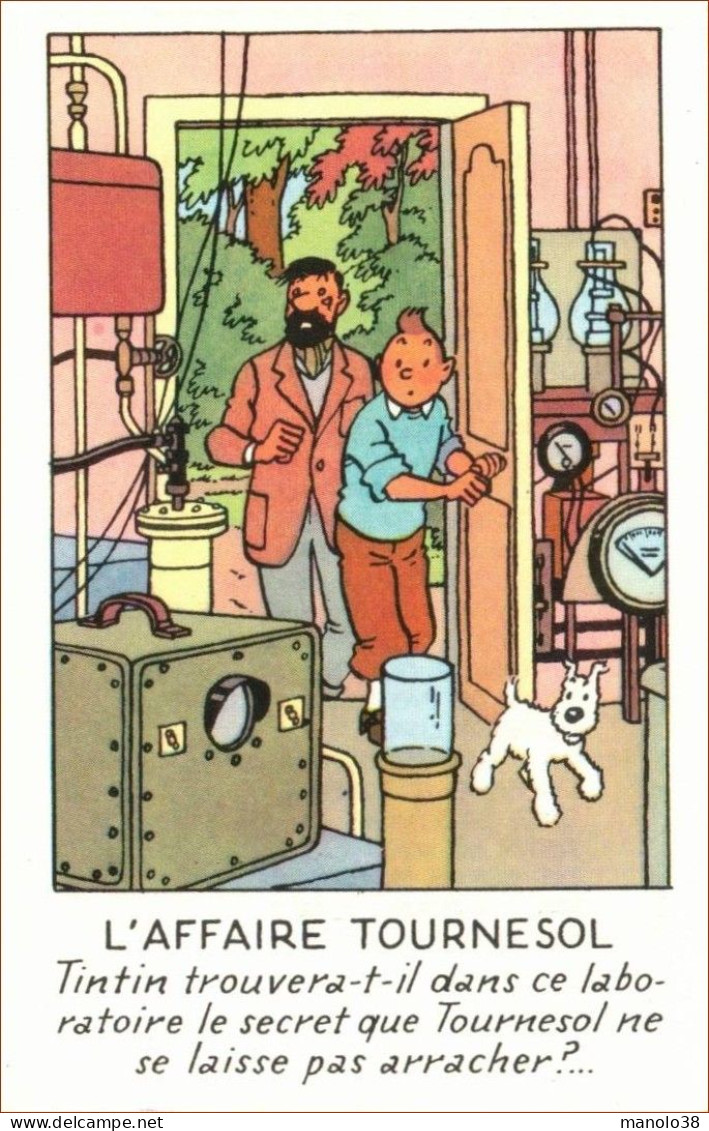 L'affaire Tournesol. Chromo Tintin. Hergé. Chromo Casterman Publicitaire édition 1976. - Album & Cataloghi