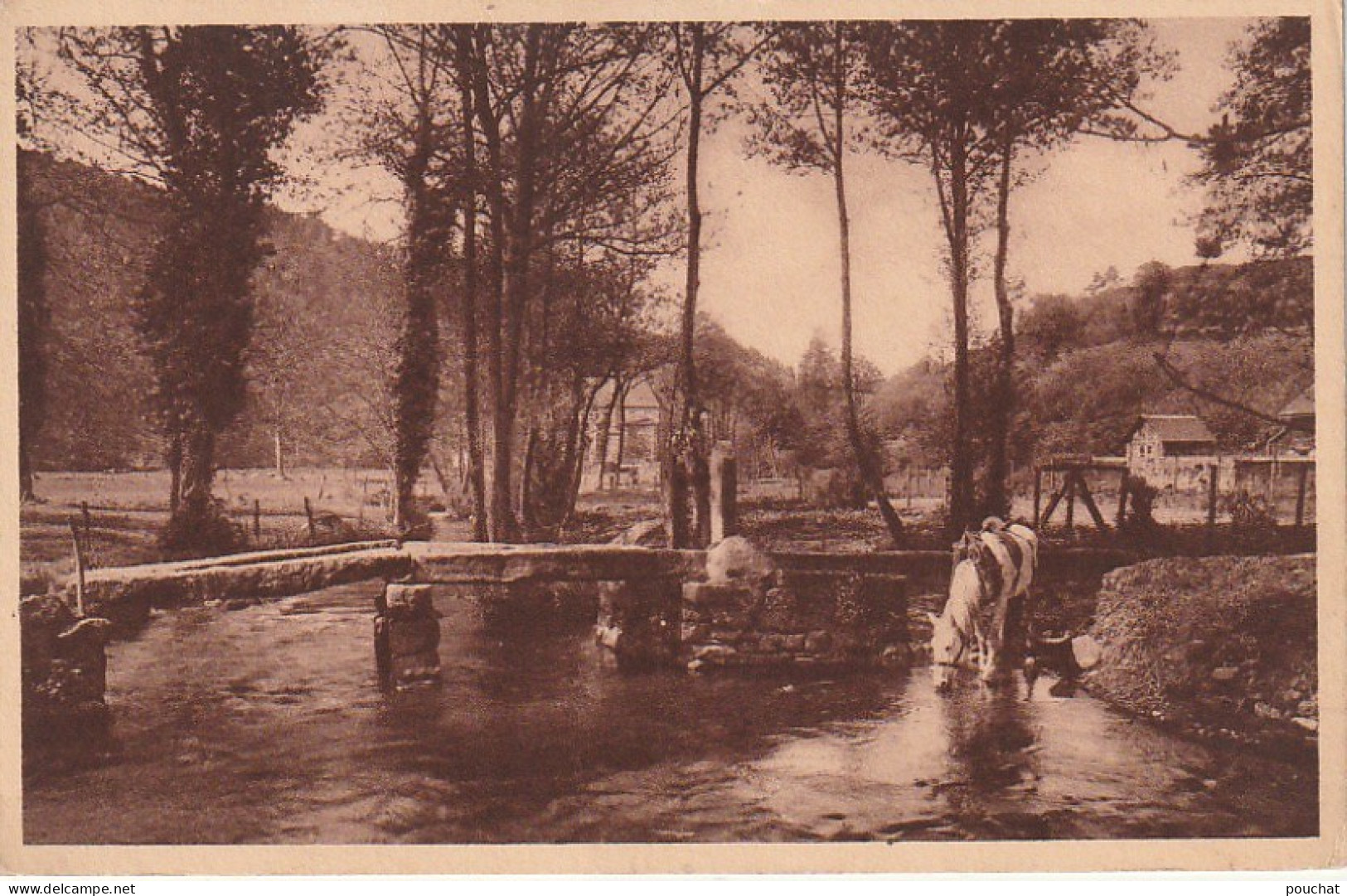 GU 4 -(61) VALLEE DU NOIREAU , A CERISY BELLE ETOILE  -  CHEVAL S'ABREUVANT -  2 SCANS - Autres & Non Classés