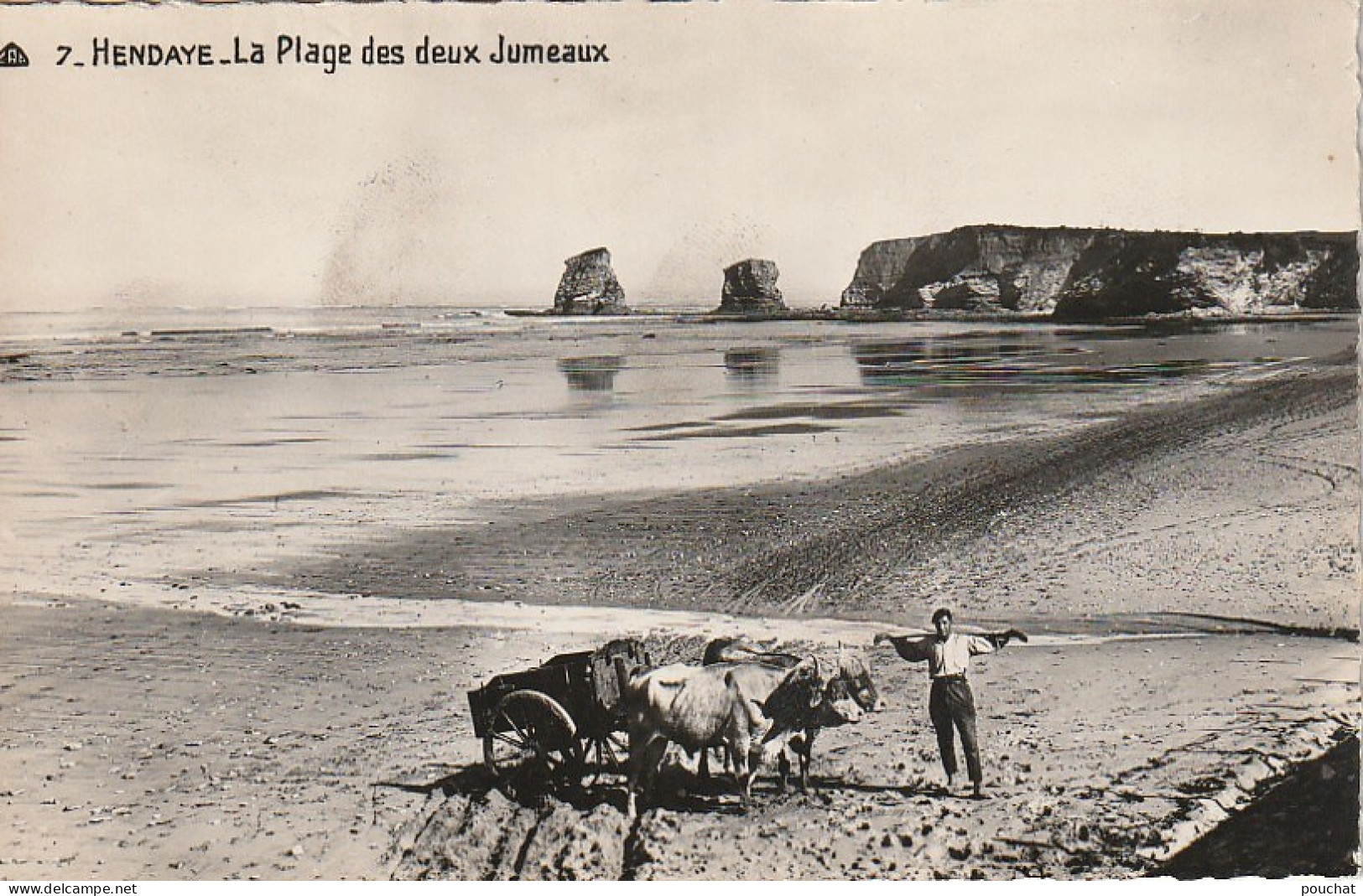 GU 17 -(64) HENDAYE -  LA PLAGE DES DEUX JUMEAUX -  ATTELAGE DE BOEUFS  - 2 SCANS - Hendaye