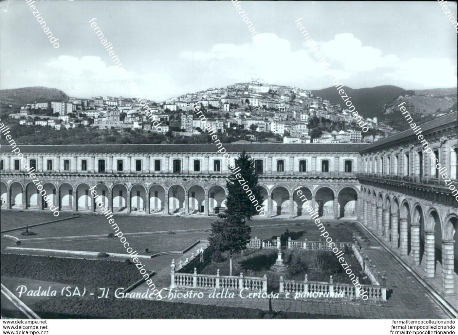 Br197 Cartolina Padula Ilgrande Chiostro Delle Certosa Panorama Salerno Campania - Salerno