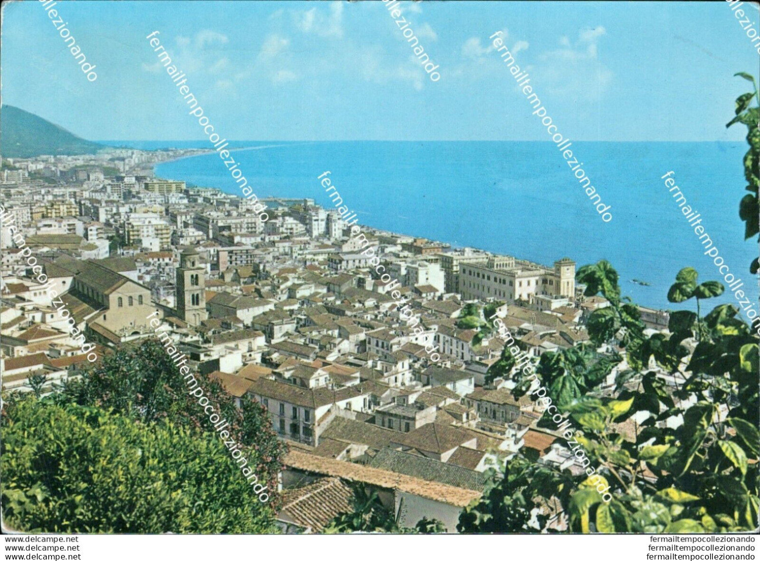 Br229 Cartolina Salerno  Citta' Panorama Campania - Salerno