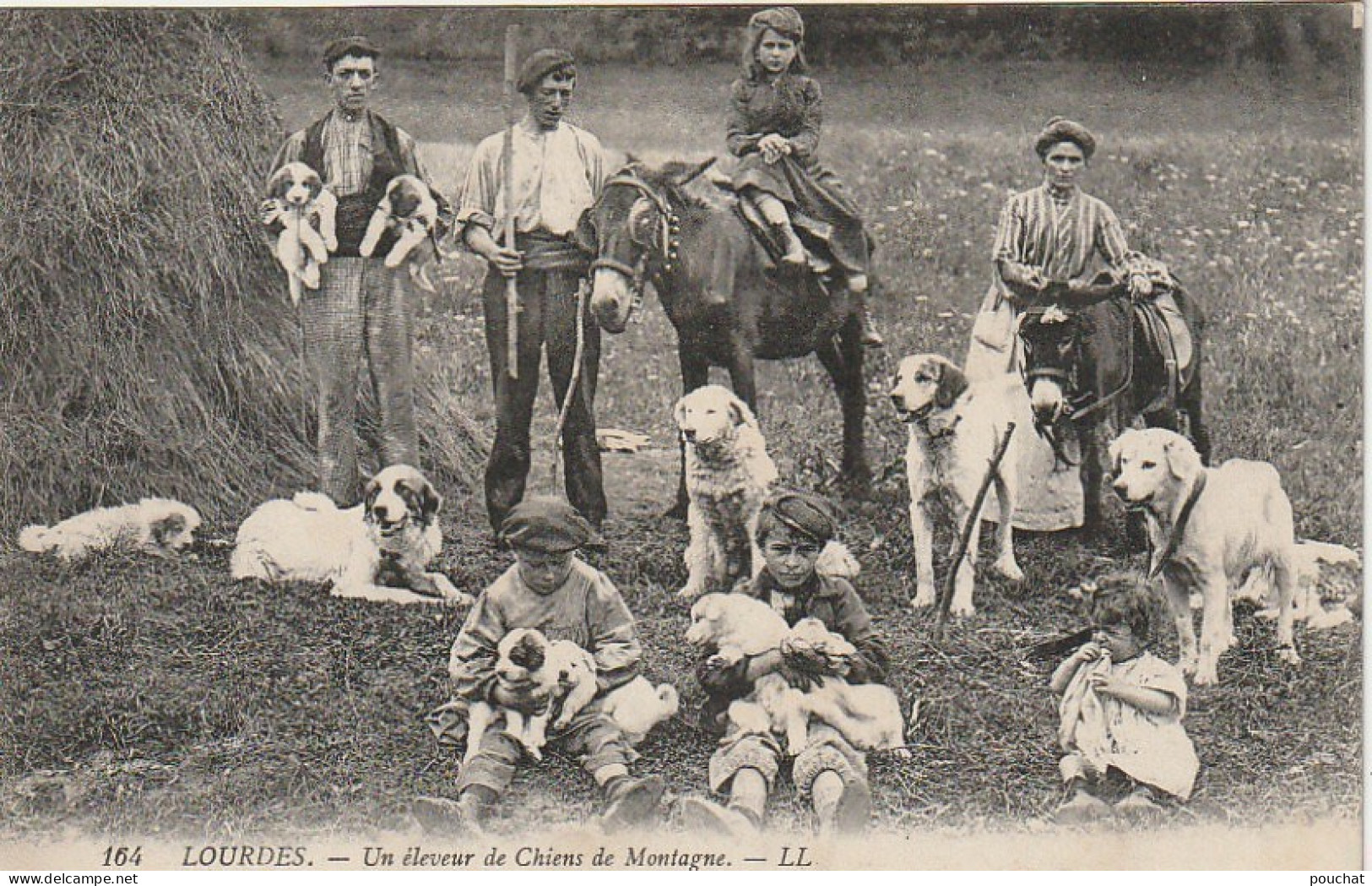 GU Nw -(65) LOURDES  -  UN ELEVEUR DE CHIENS DE MONTAGNE - ANES ET PORTEE DE CHIOTS  - 2 SCANS - Lourdes