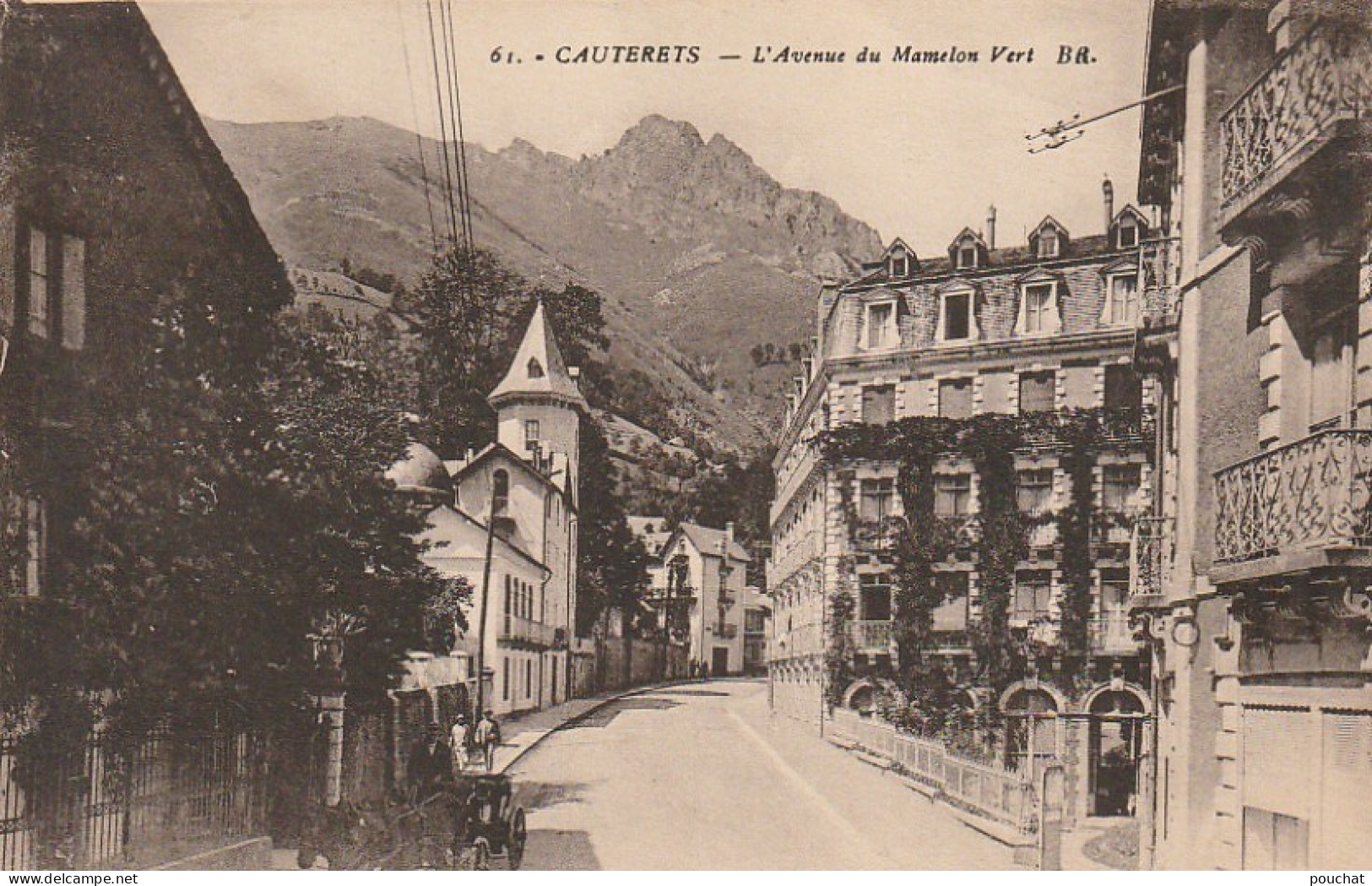 GU Nw -(65) CAUTERETS -  L'AVENUE DU MAMELON VERT  -  CALECHE - 2 SCANS - Cauterets