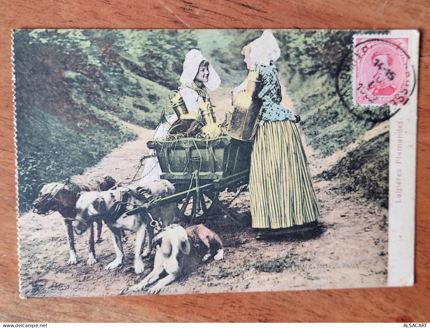 Laitière Flamande Attelage De Chiens , Carte De Carnet , Rare - Altri & Non Classificati