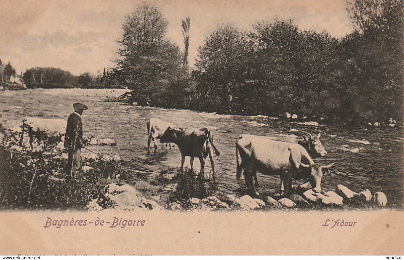 GU Nw -(65) BAGNERES  DE BIGORRE  -  L'ADOUR - PAYSAN AVEC TROUPEAU DE VACHES S'ABREUVANT -  2 SCANS - Bagneres De Bigorre