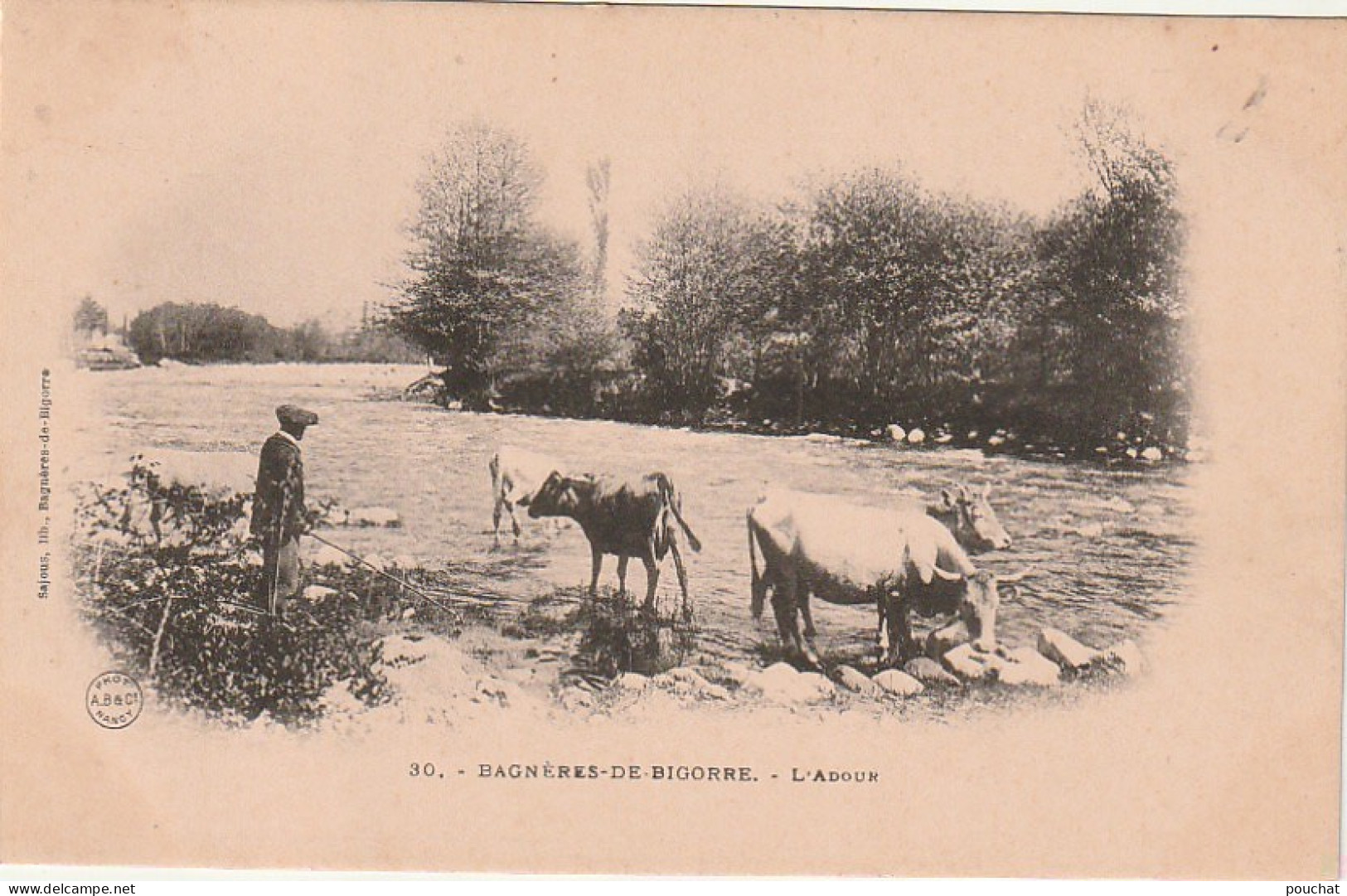 GU Nw -(65) BAGNERES  DE BIGORRE  -  L'ADOUR - TROUPEAU DE VACHES S'ABREUVANT -  2 SCANS - Bagneres De Bigorre