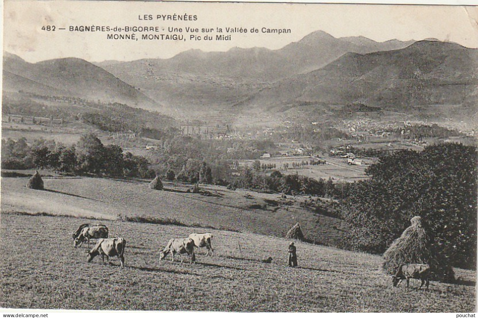 GU Nw -(65) BAGNERES  DE BIGORRE - UNE VUE SUR LA VALLEE DE CAMPAN , MONNE , MONTAIGU , PIC DU MIDI -TROUPEAU DE VACHES - Bagneres De Bigorre