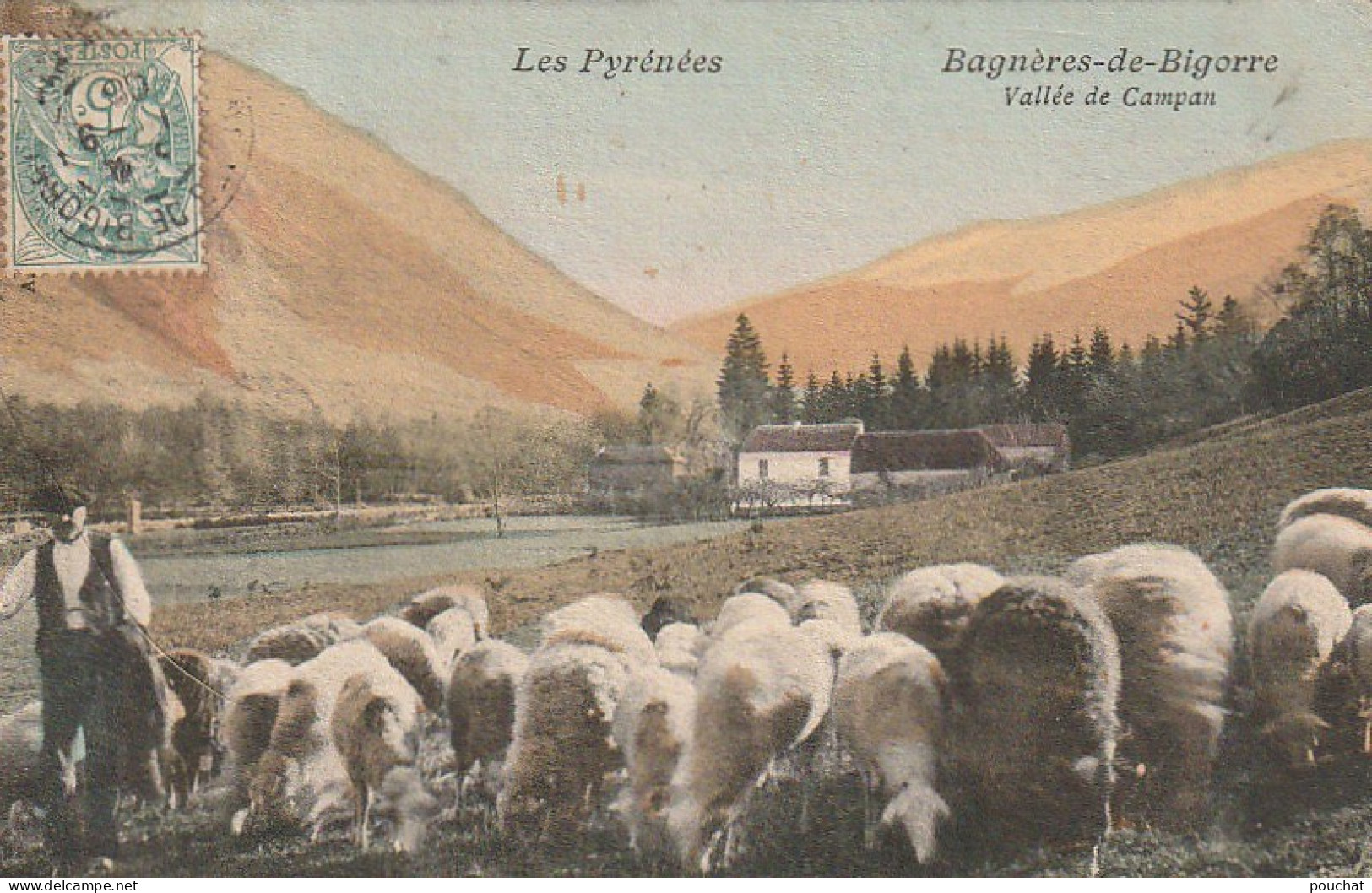 GU Nw -(65) BAGNERES  DE BIGORRE -  VALLEE DE CAMPAN -BERGER ET TROUPEAU DE MOUTONS - CARTE COLORISEE - 2 SCANS - Bagneres De Bigorre