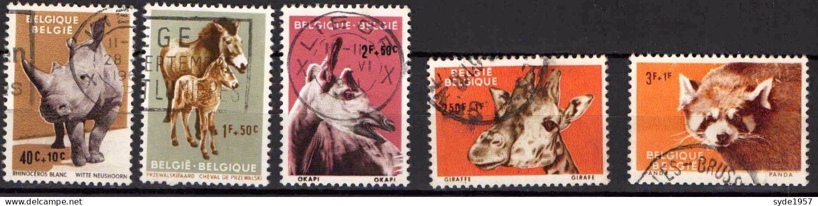 Belgique 1961  Zoo D'Anvers, 5 Timbres Oblitérés - COB 1182 à 1186 (cote > 5€) - Usati