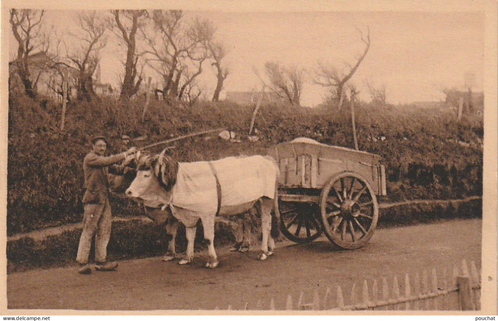 GU Nw -(64) TYPES BASQUES  -  ATTELAGE BASQUE -  PAYSAN AVEC SES BOEUFS - LABOUCHE FRERES , TOULOUSE  - 2 SCANS - Attelages