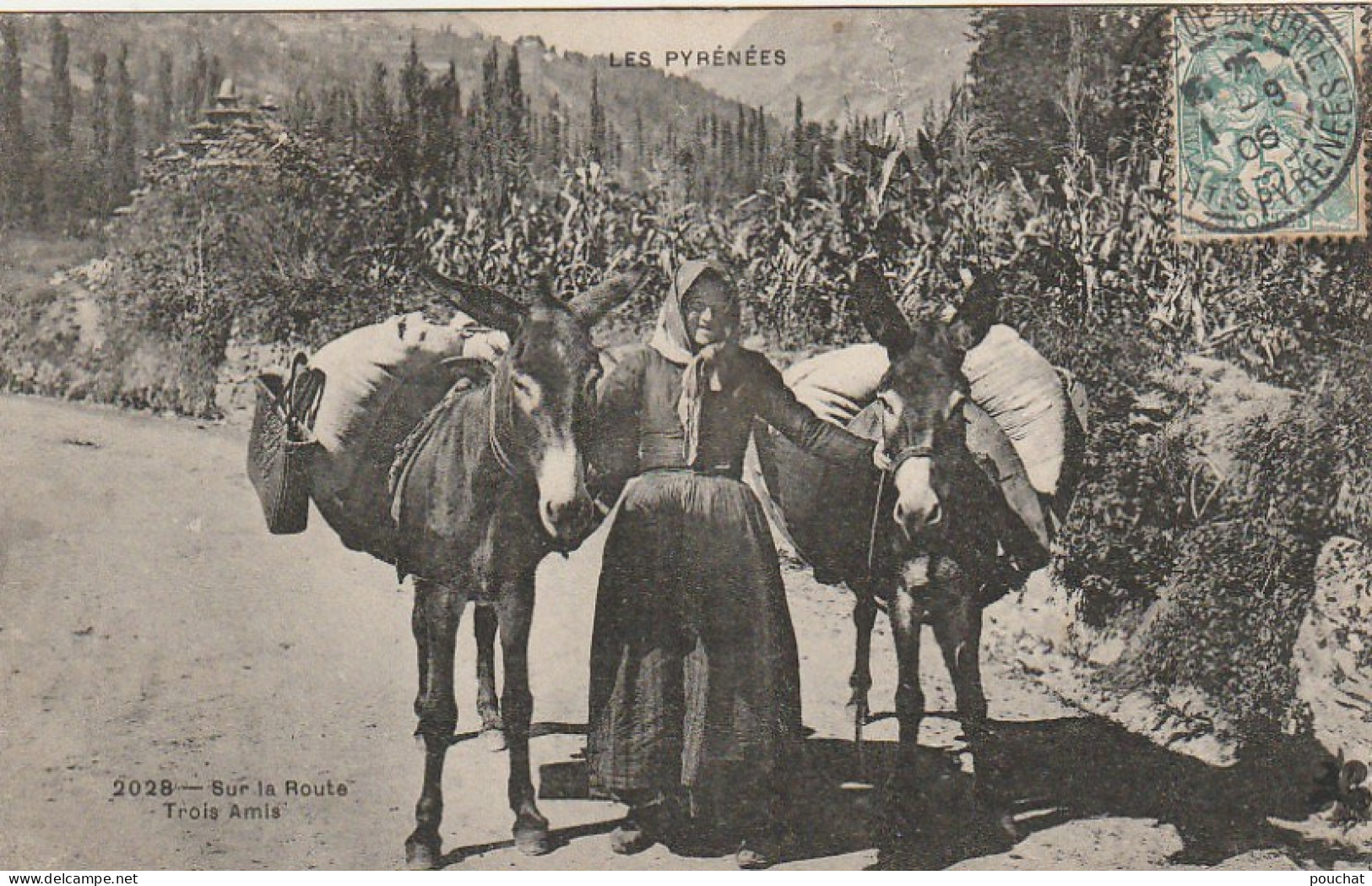 GU Nw - LES PYRENEES - SUR LA ROUTE -  TROIS AMIS -  PAYSANNE AVEC SES ANES  -  2 SCANS - Personaggi