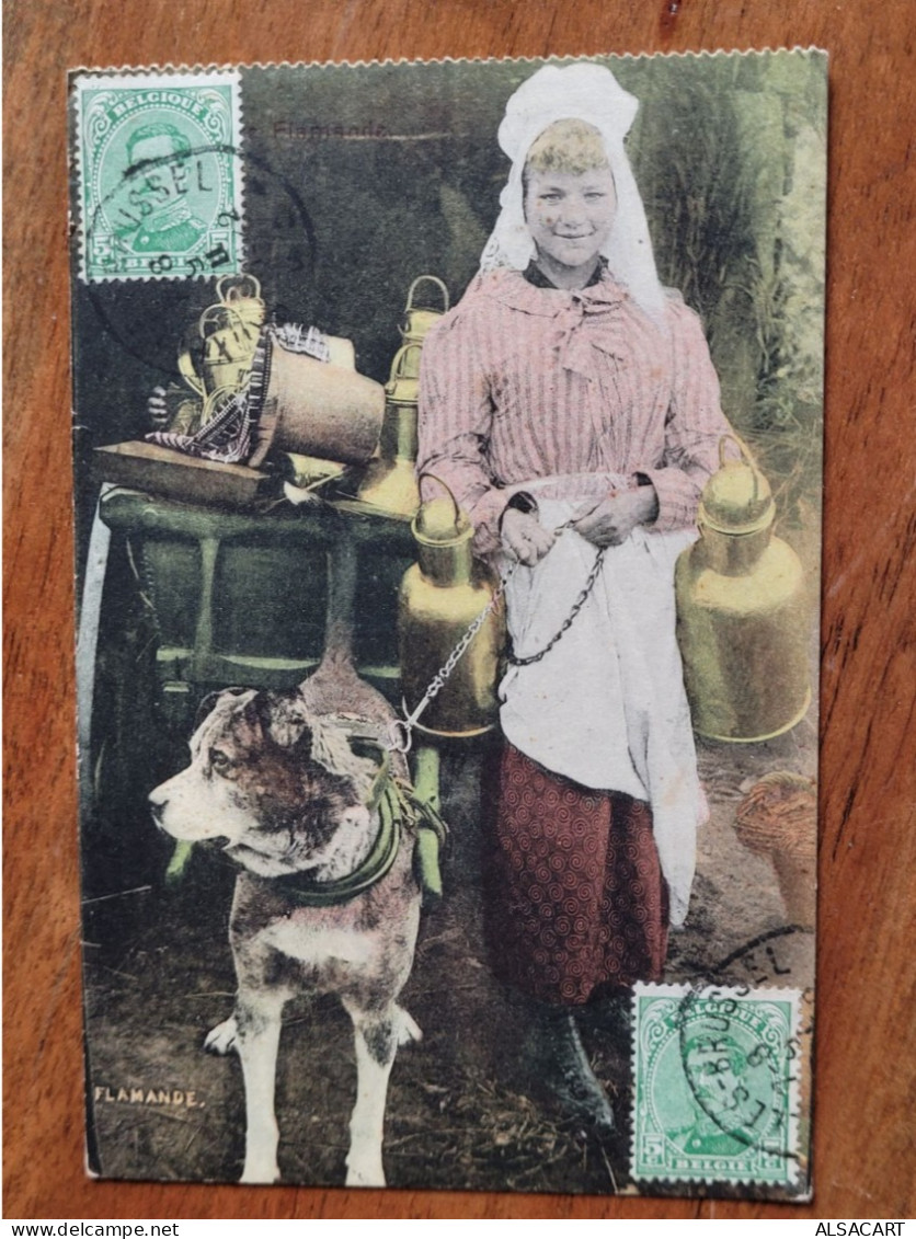 Laitière Flamande Attelage De Chiens  , Carte De Carnet , Rare - Autres & Non Classés