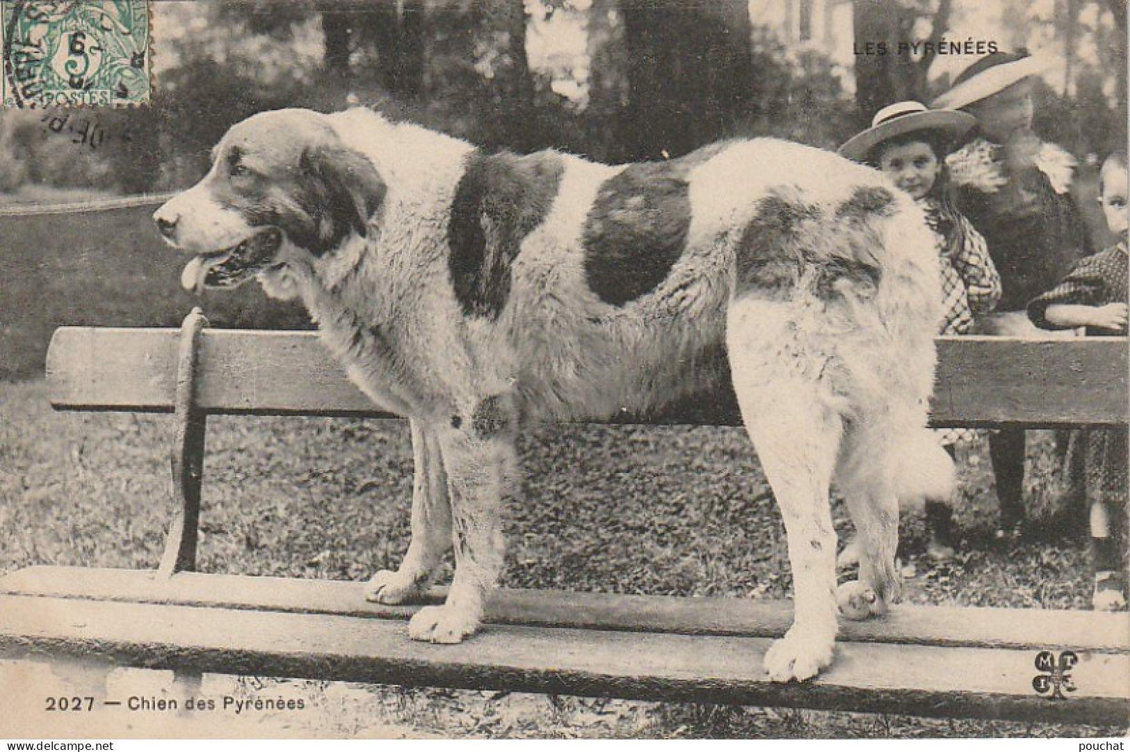 GU Nw - CHIEN DES PYRENEES  - PATOU   - 2 SCANS - Cani