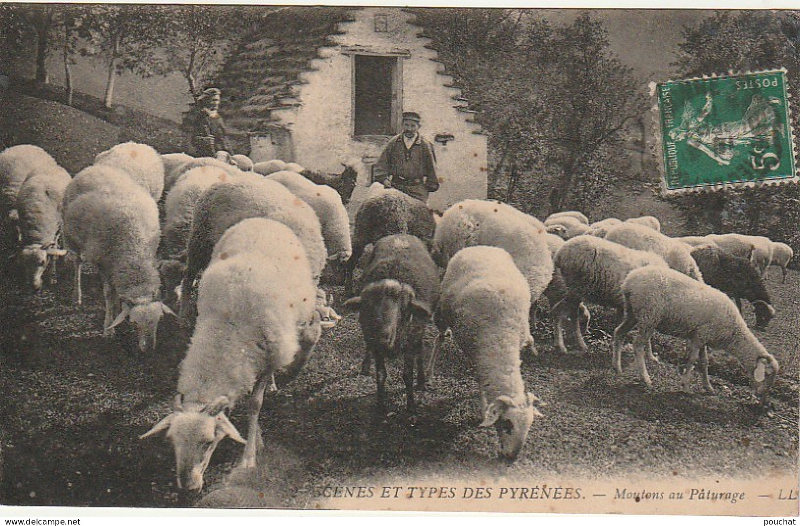 GU Nw - SCENES ET TYPES DES PYRENEES -  MOUTONS AU PATURAGE - BERGERS  - 2 SCANS - Elevage